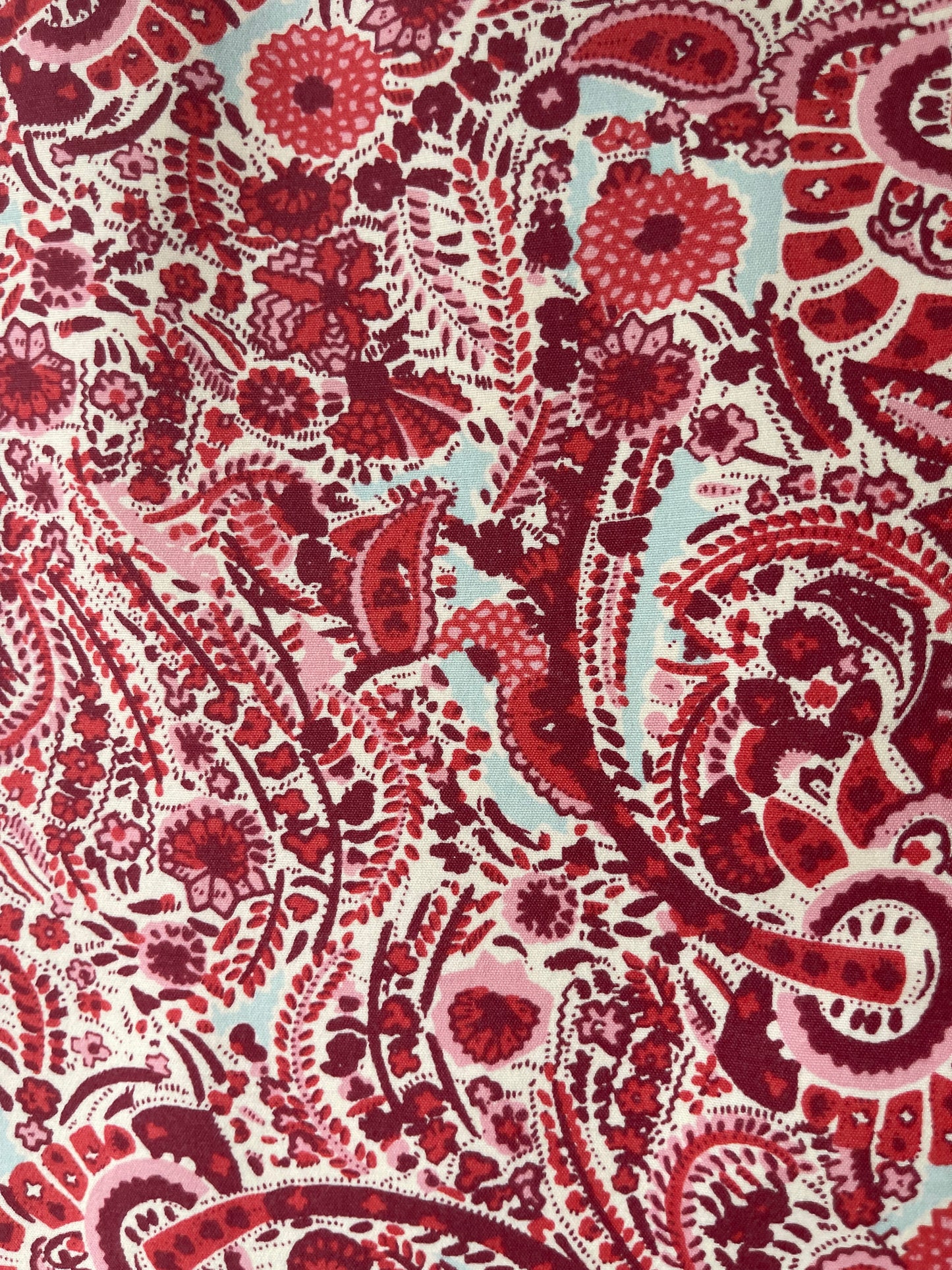 Red & Pink Paisley A-Line Skirt